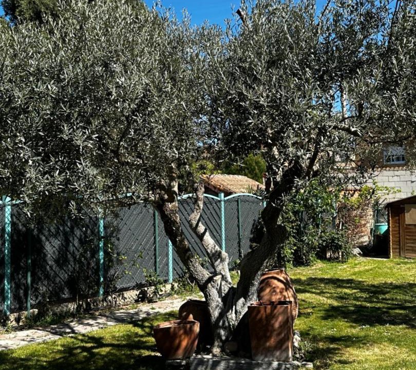 Zaragoza House | Amplio y Cómodo chalet a 15 minutos del centro con piscina y pistas de tenis