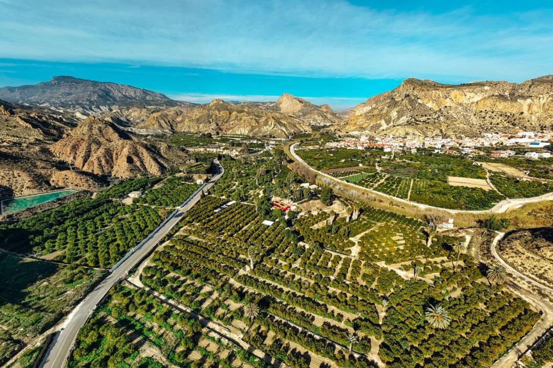 Villanueva Del Rio Segura Apartment | La Joya del Valle de Ricote