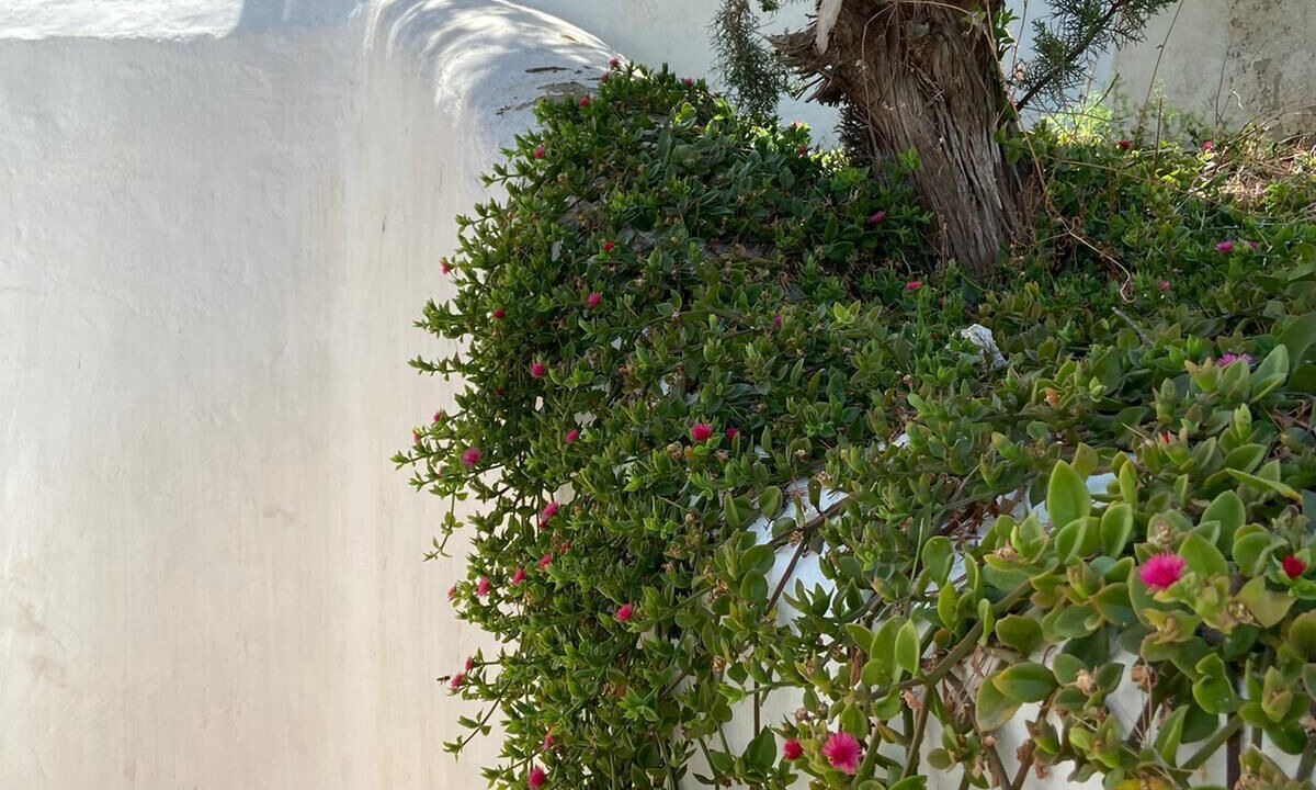 Photo of Outdoor in Cala Vadella