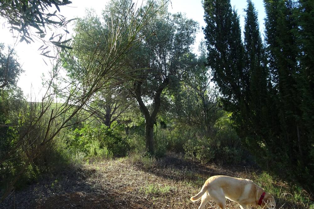 Photo of Outdoor in Vilanova d'Escornalbou