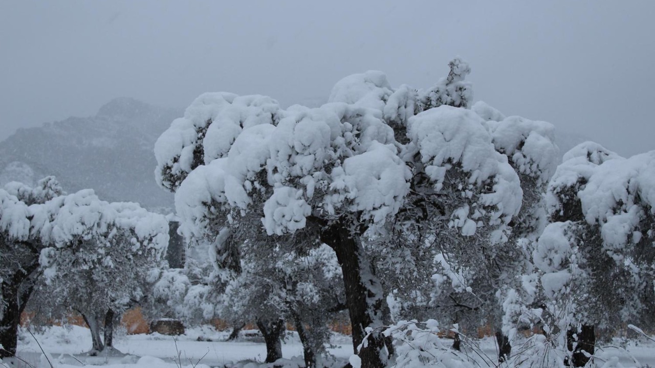 Photo of Outdoor in Prat de Comte