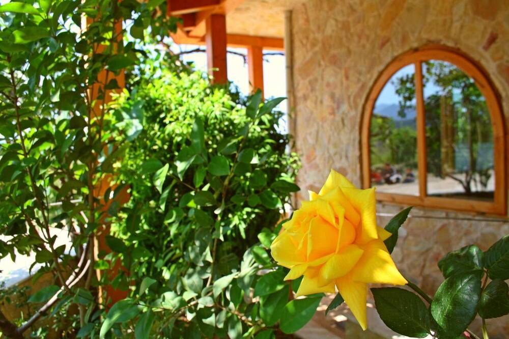 Photo of Outdoor in Horta de Sant Joan