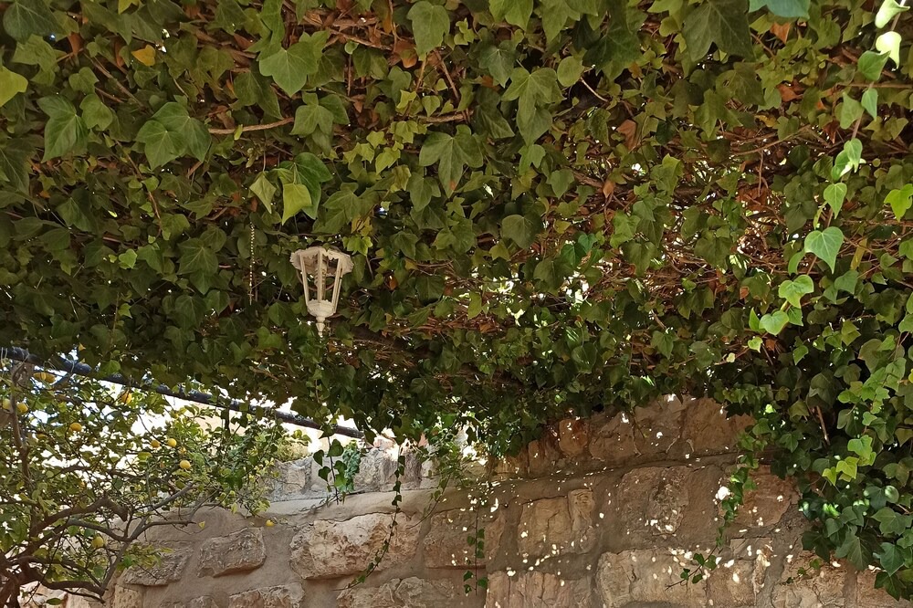 Photo of Patio Balcony in Hoya de los Patos