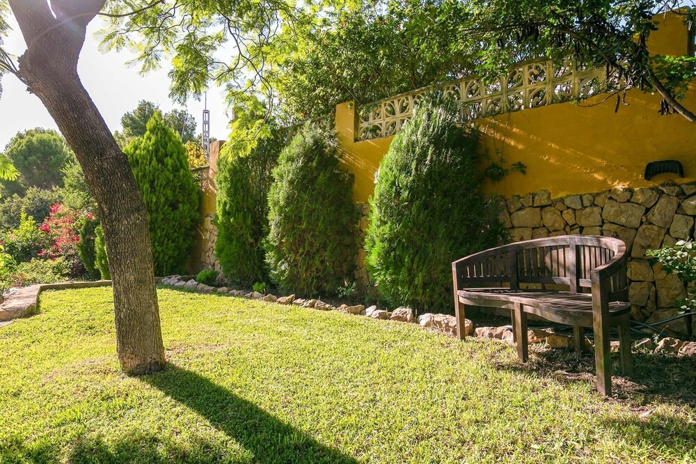 Photo of Outdoor in Oliva