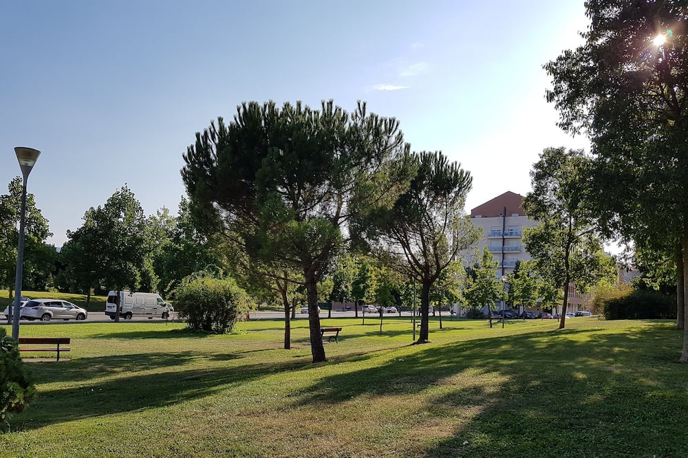Photo of Outdoor in Echavacoiz