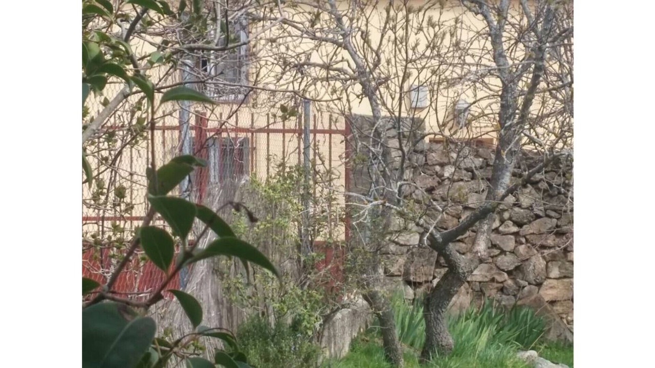 Photo of Others in Basardilla