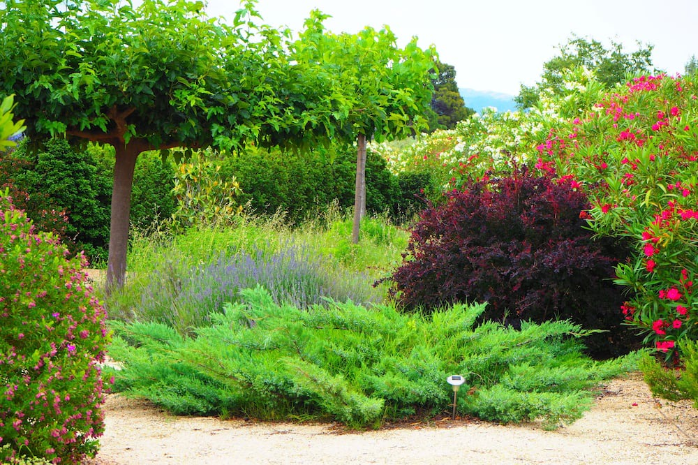 Photo of Outdoor in Tortosa