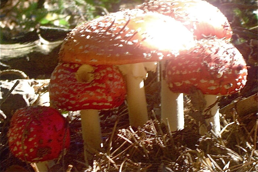 Photo of Outdoor in Santa Gadea
