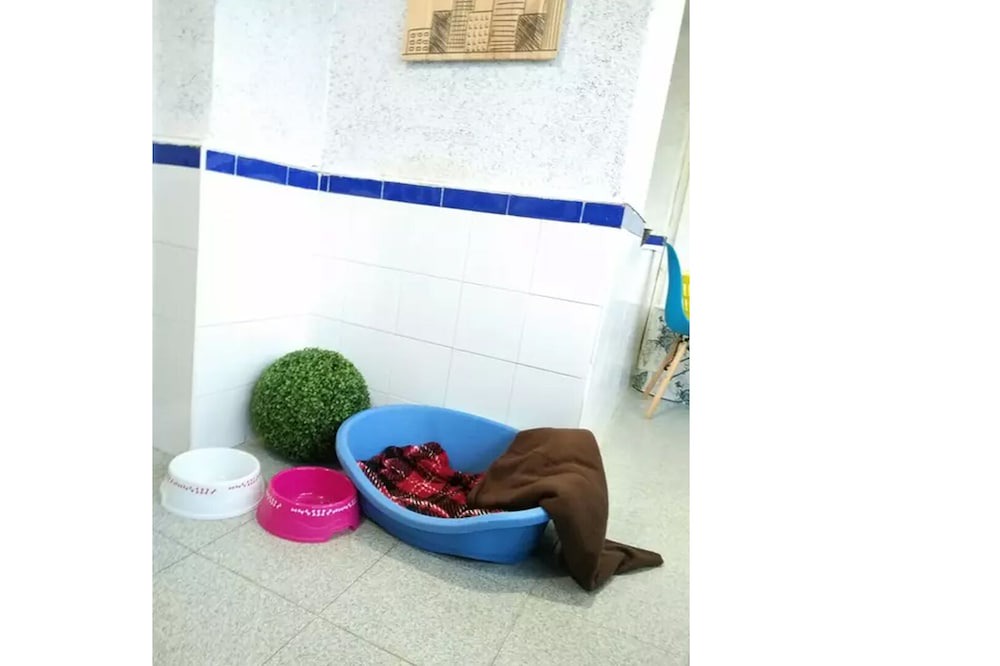 Photo of Bathroom in Canovelles
