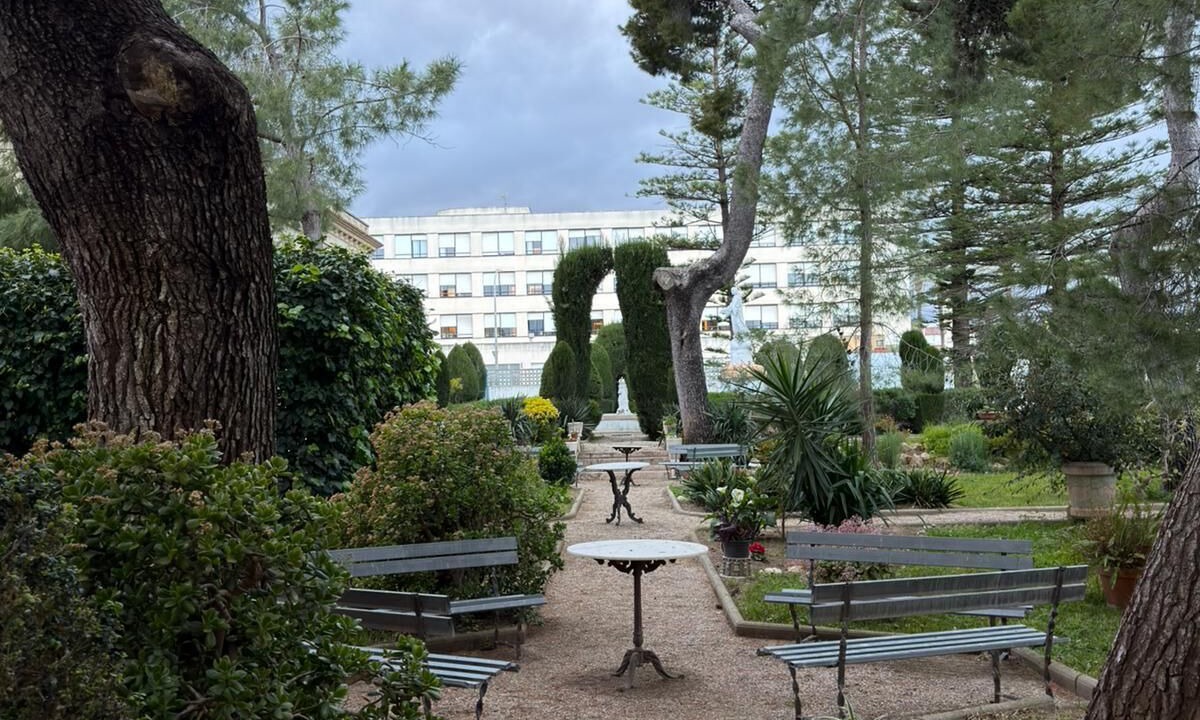 Photo of Outdoor in Jesus