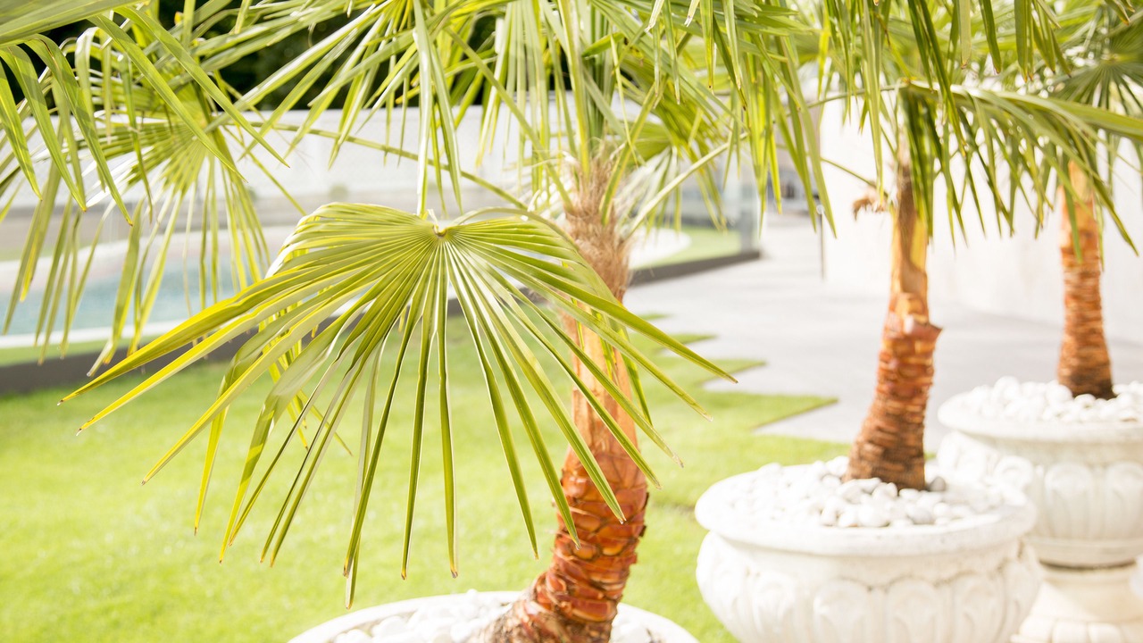 Photo of Outdoor in Primer Ensanche