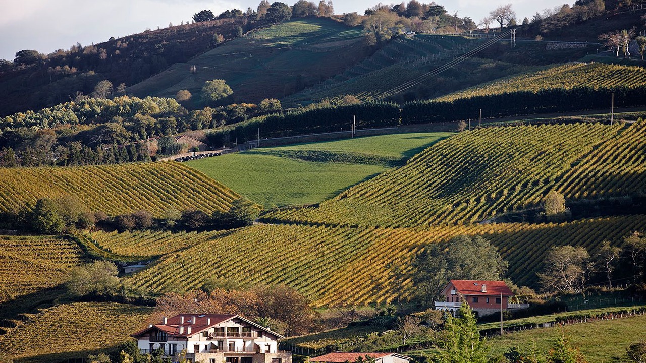 Photo of Outdoor in Getaria