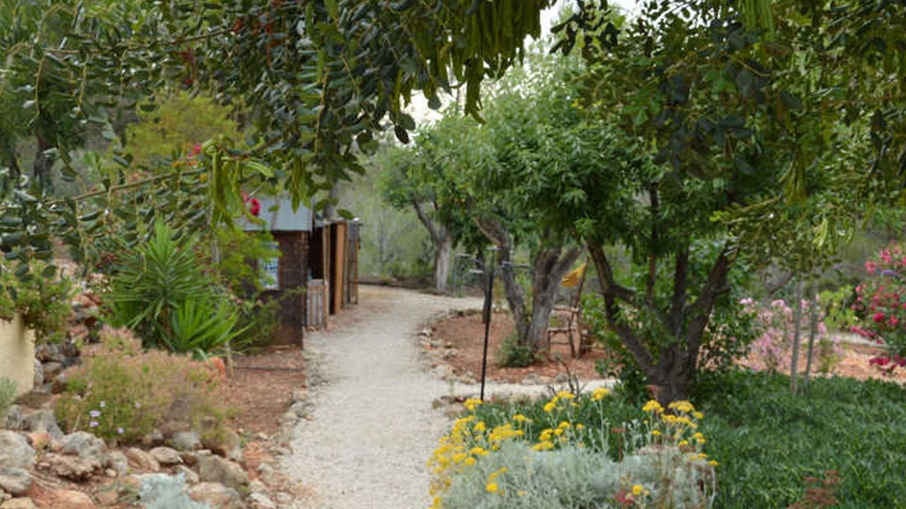Photo of Outdoor in Lliber