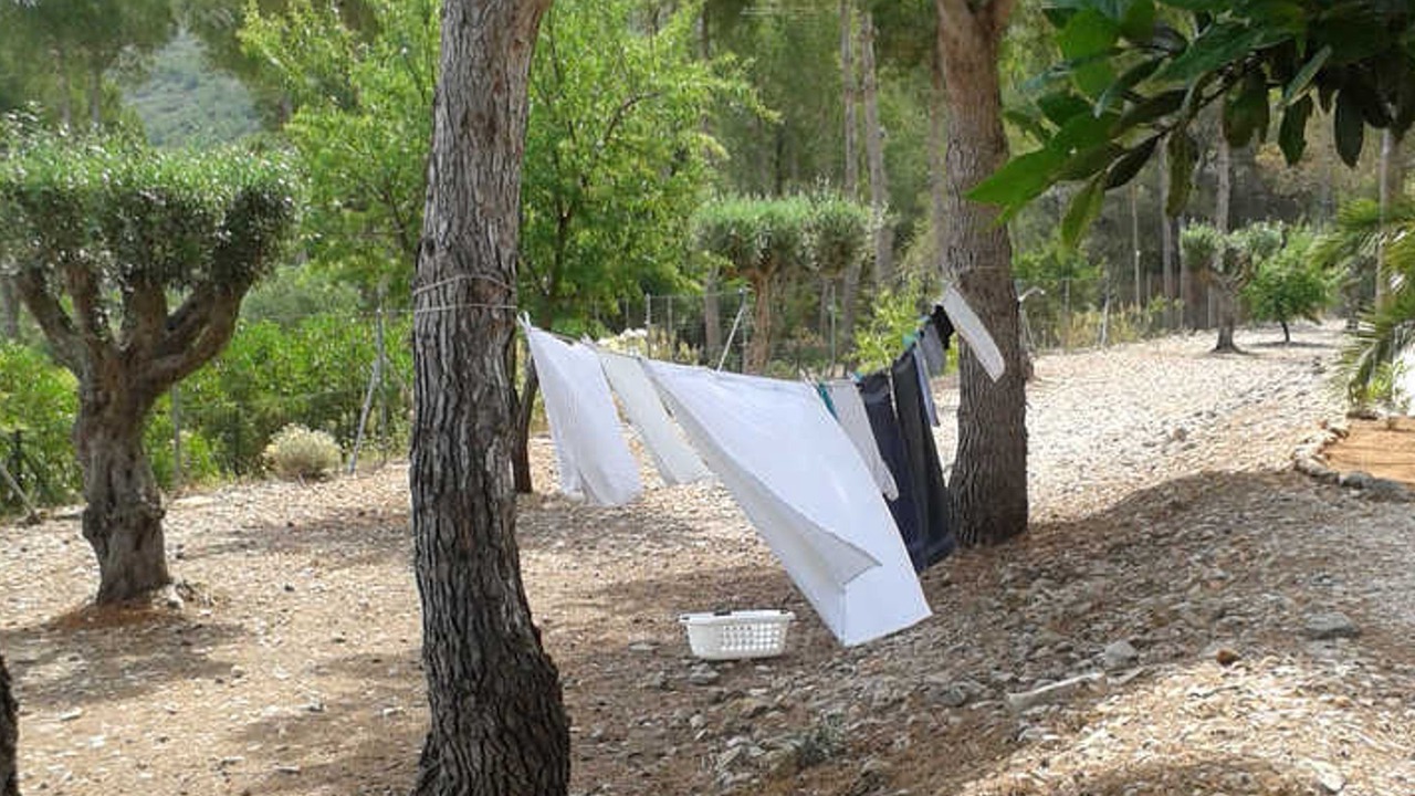 Photo of Outdoor in Lliber