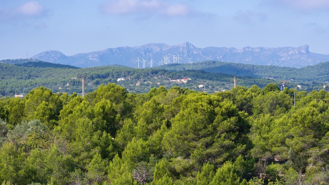 Photo of Others in Roques Daurades