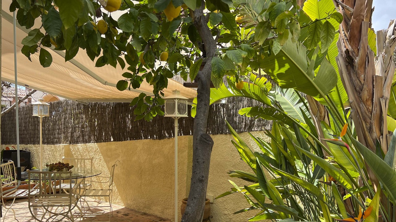 Photo of Outdoor in Roda de Bara