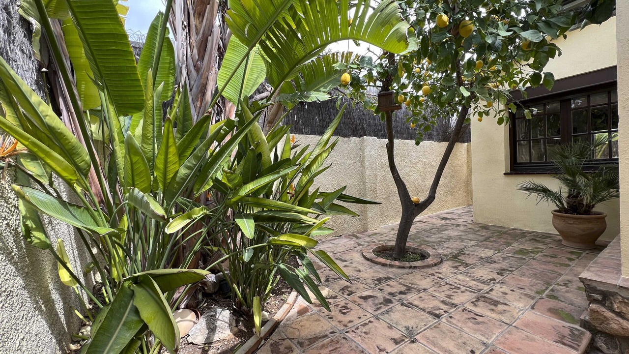 Photo of Outdoor in Roda de Bara