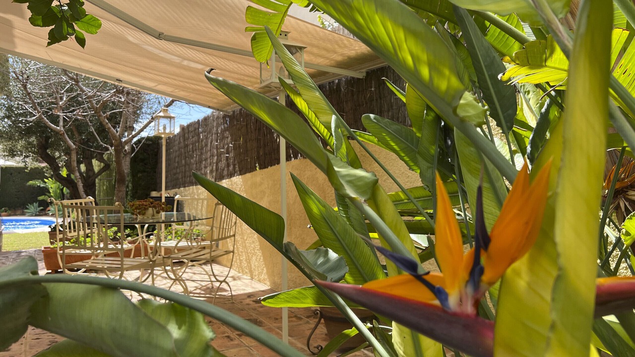 Photo of Outdoor in Roda de Bara