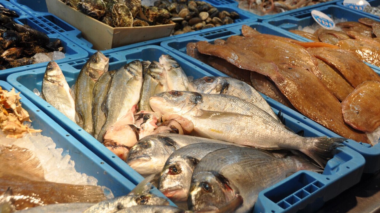 Photo of Others in Vinaros