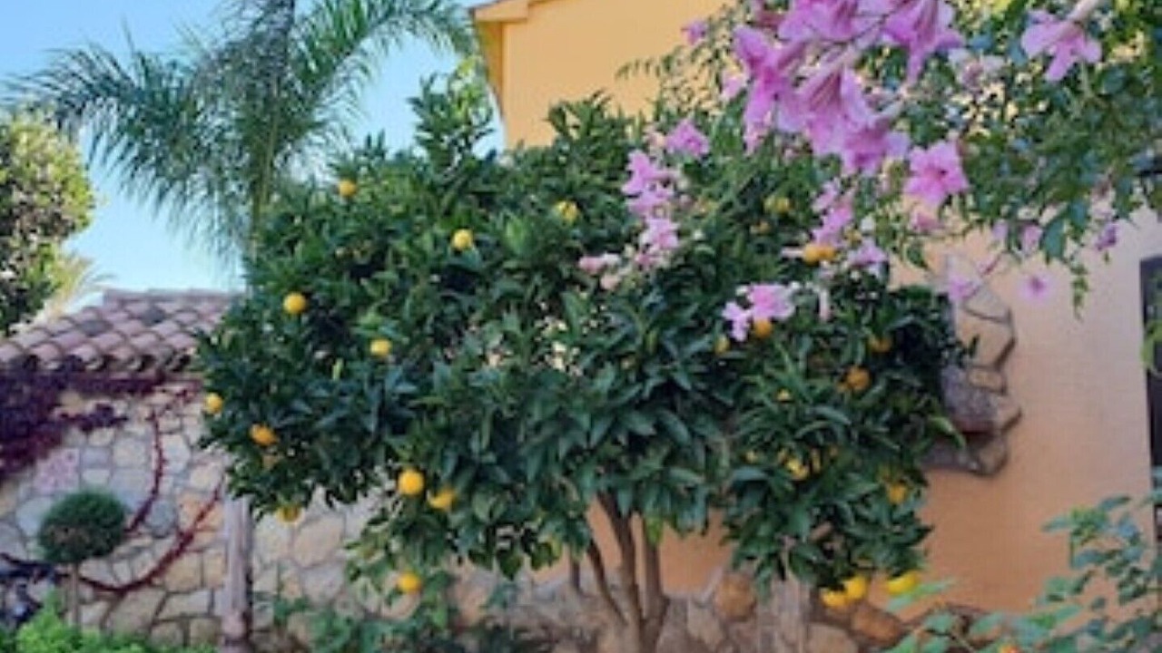 Photo of Outdoor in Mont-roig Bahia