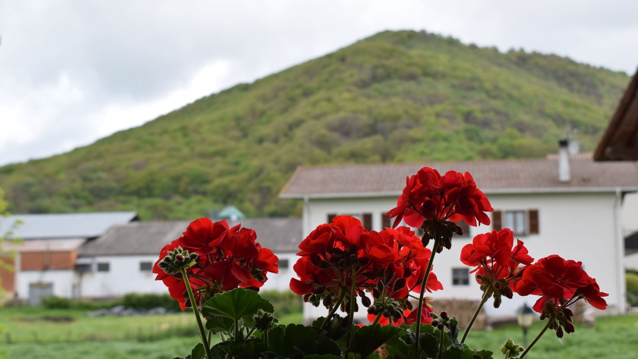 Photo of Outdoor in Iraizotz