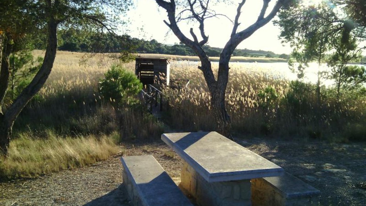 Photo of Others in Murillo El Cuende
