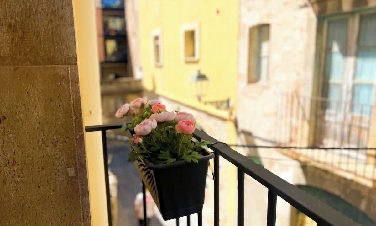 Photo of Outdoor in Old Town