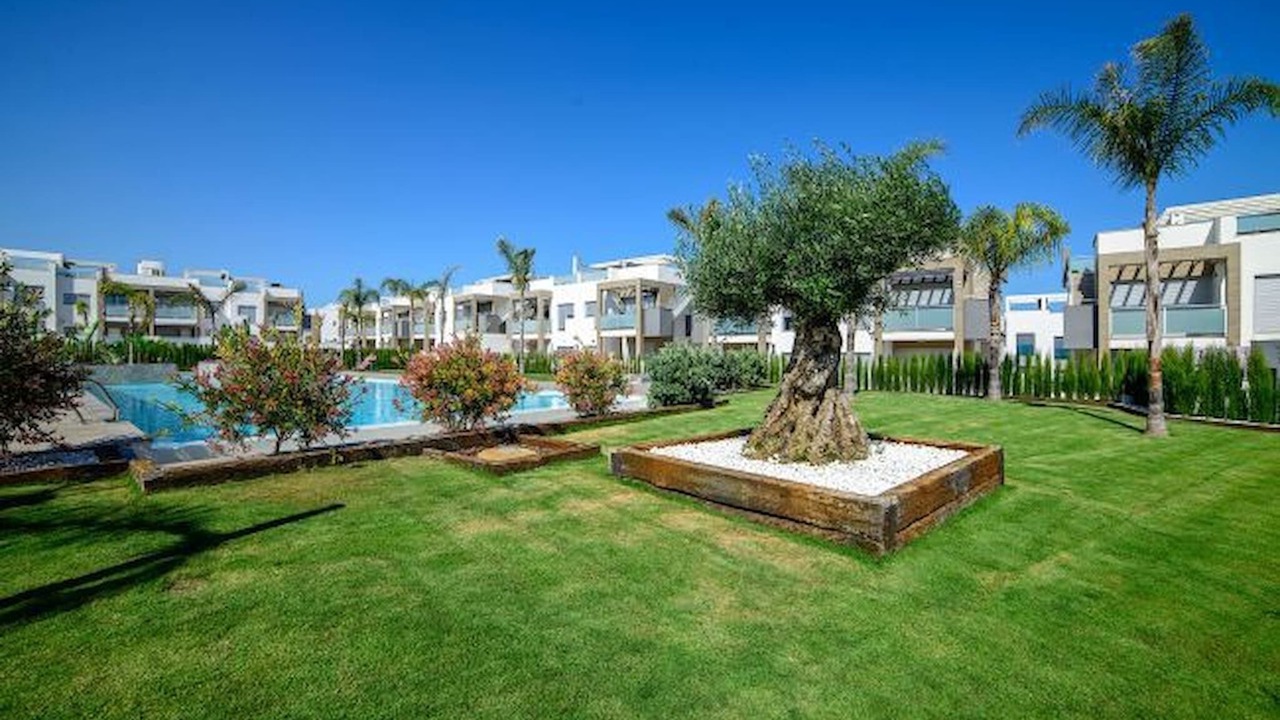 Photo of Outdoor in Los Altos