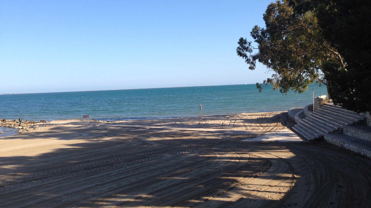 Photo of Others in Sant Carles de la Rapita