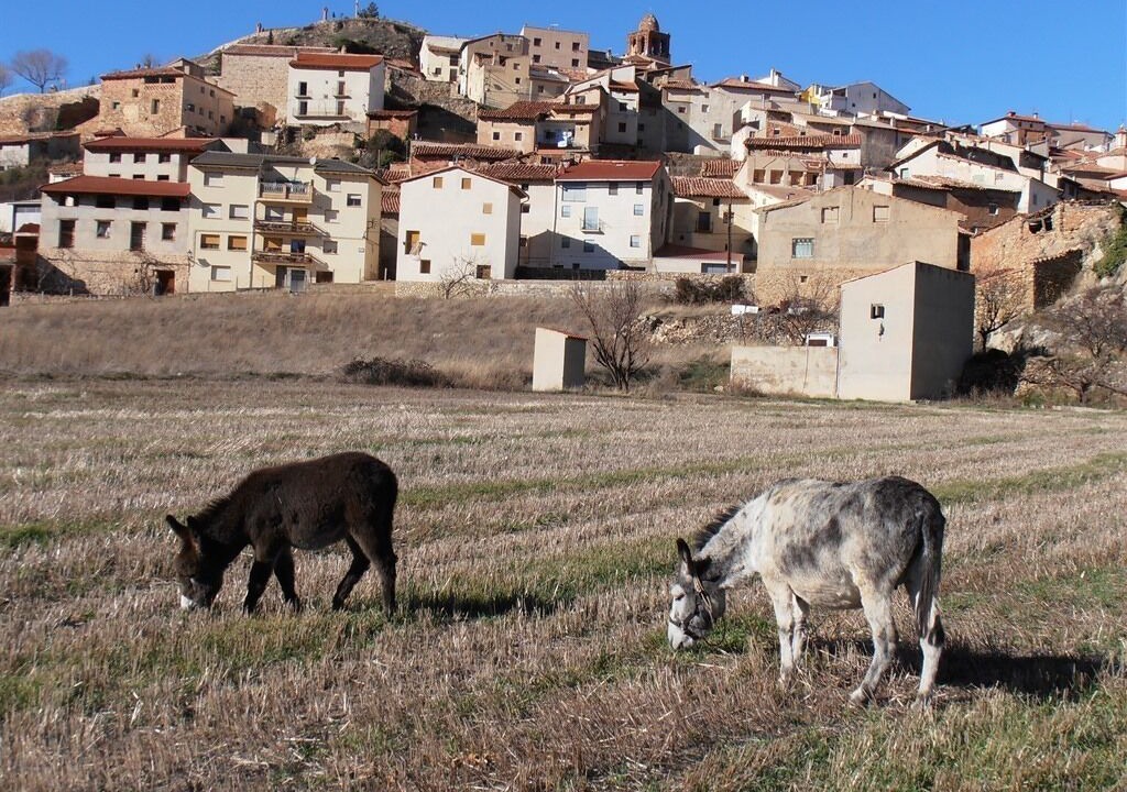Photo of Others in Ejulve