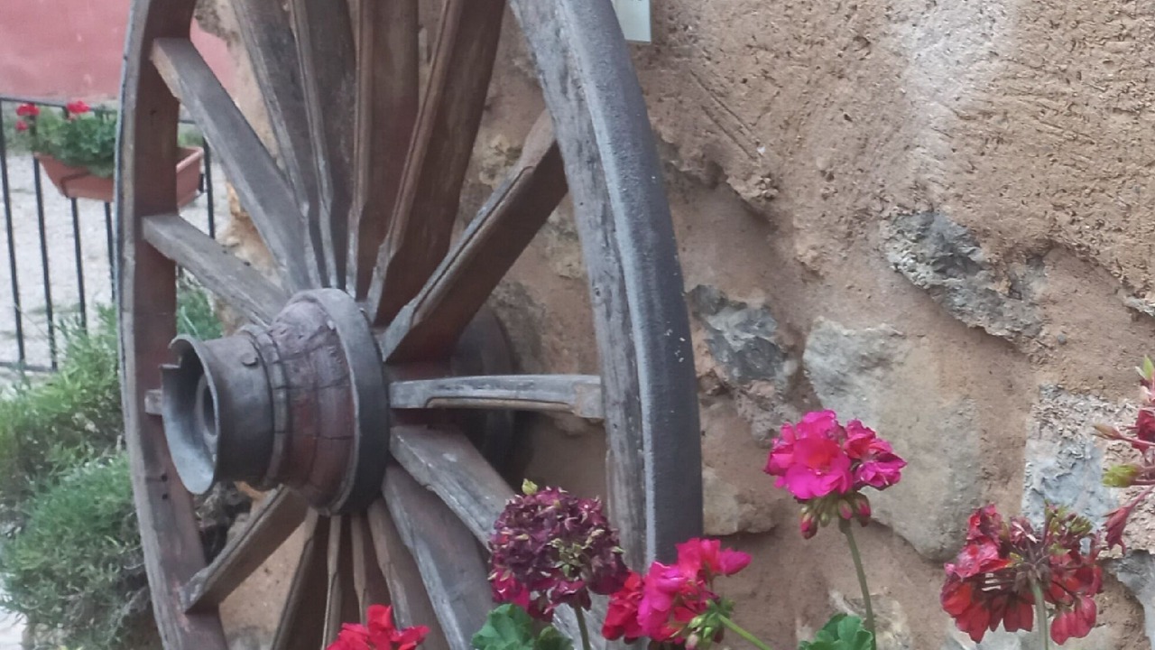 Photo of Outdoor in Cella