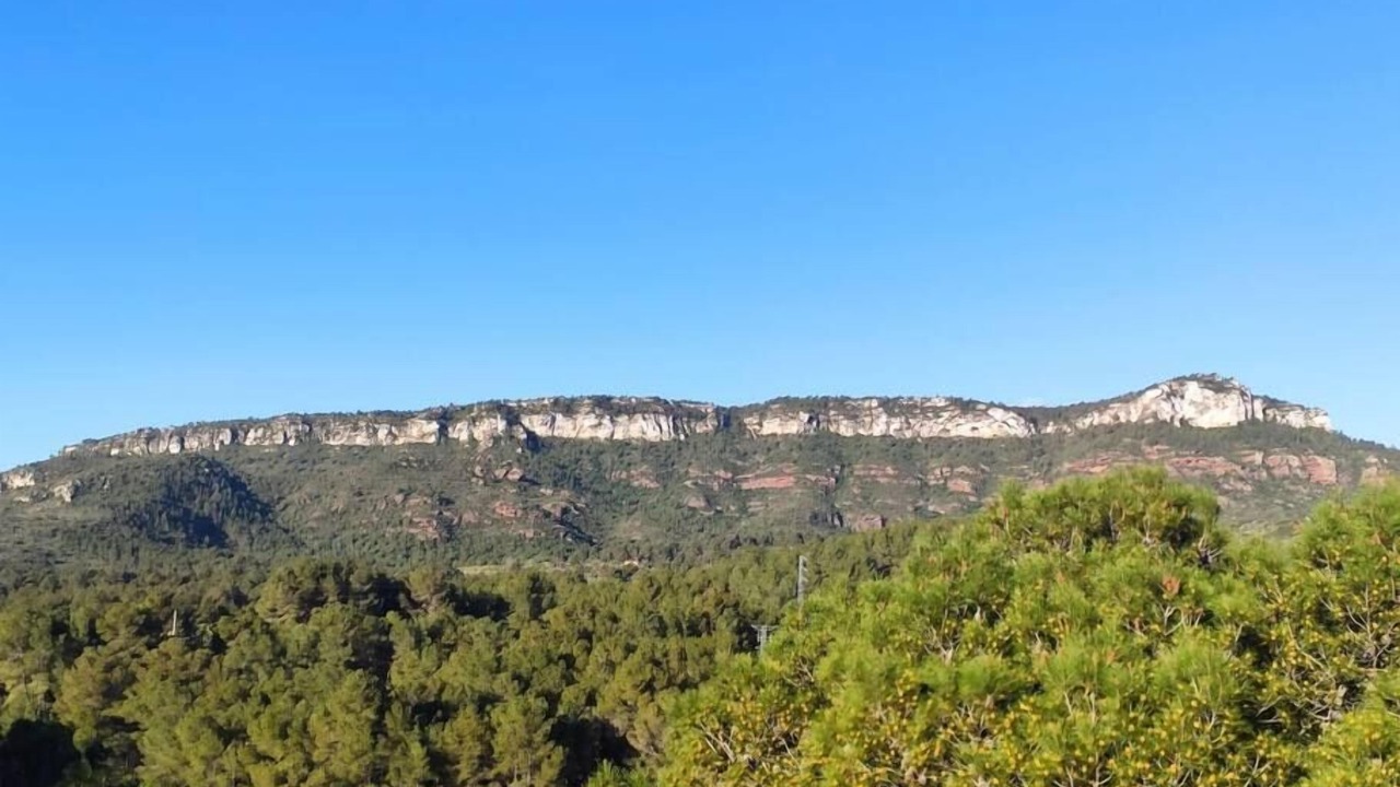 Photo of Others in Mont-roig del Camp