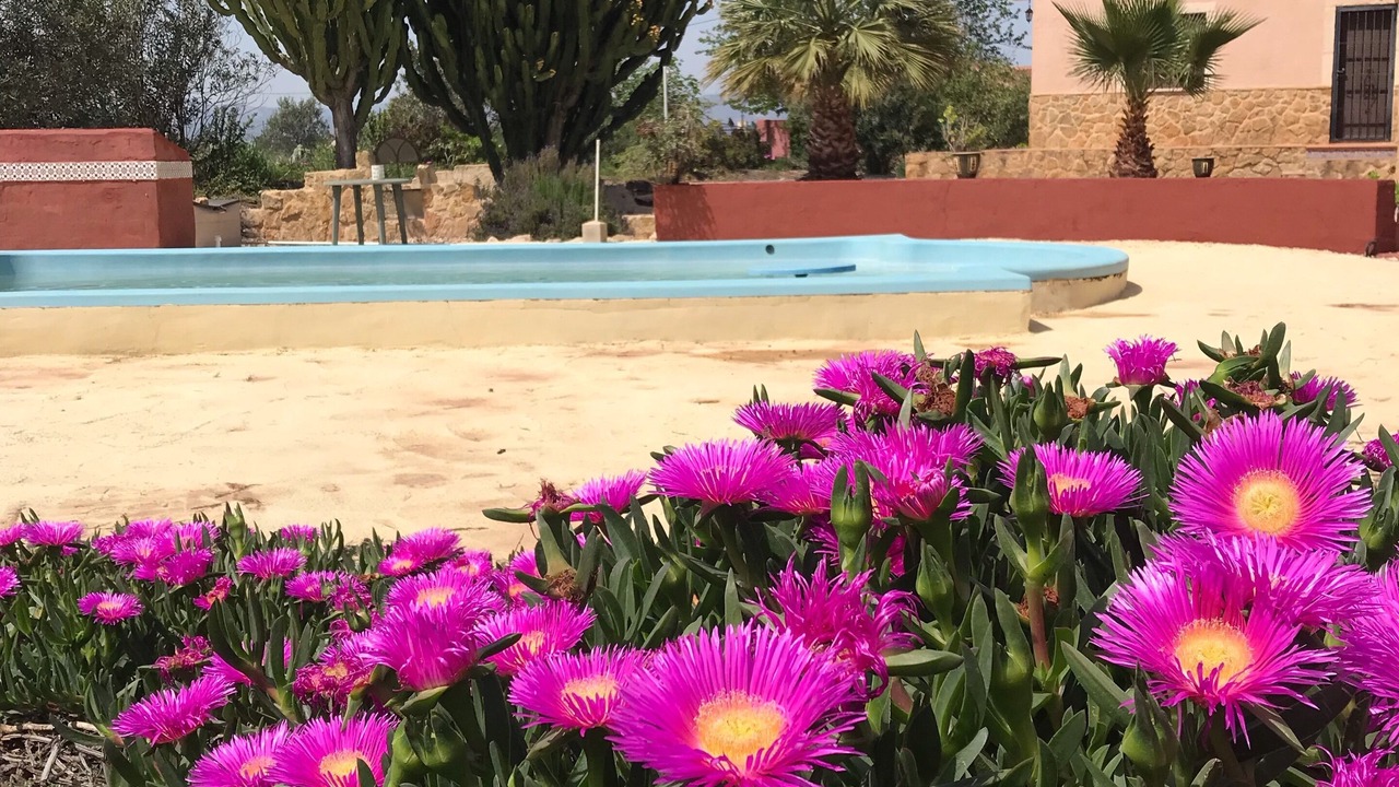 Photo of Outdoor in Daya Nueva