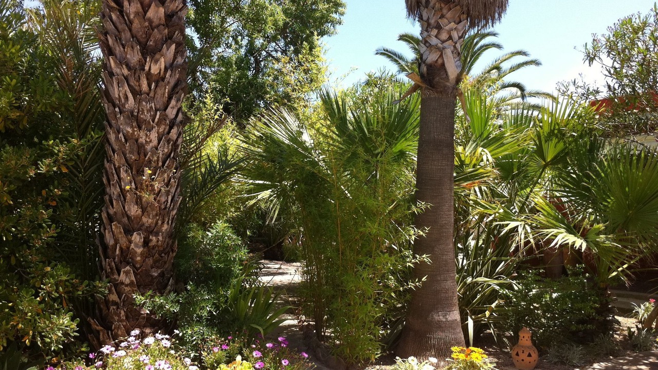 Photo of Outdoor in Sant Josep de sa Talaia