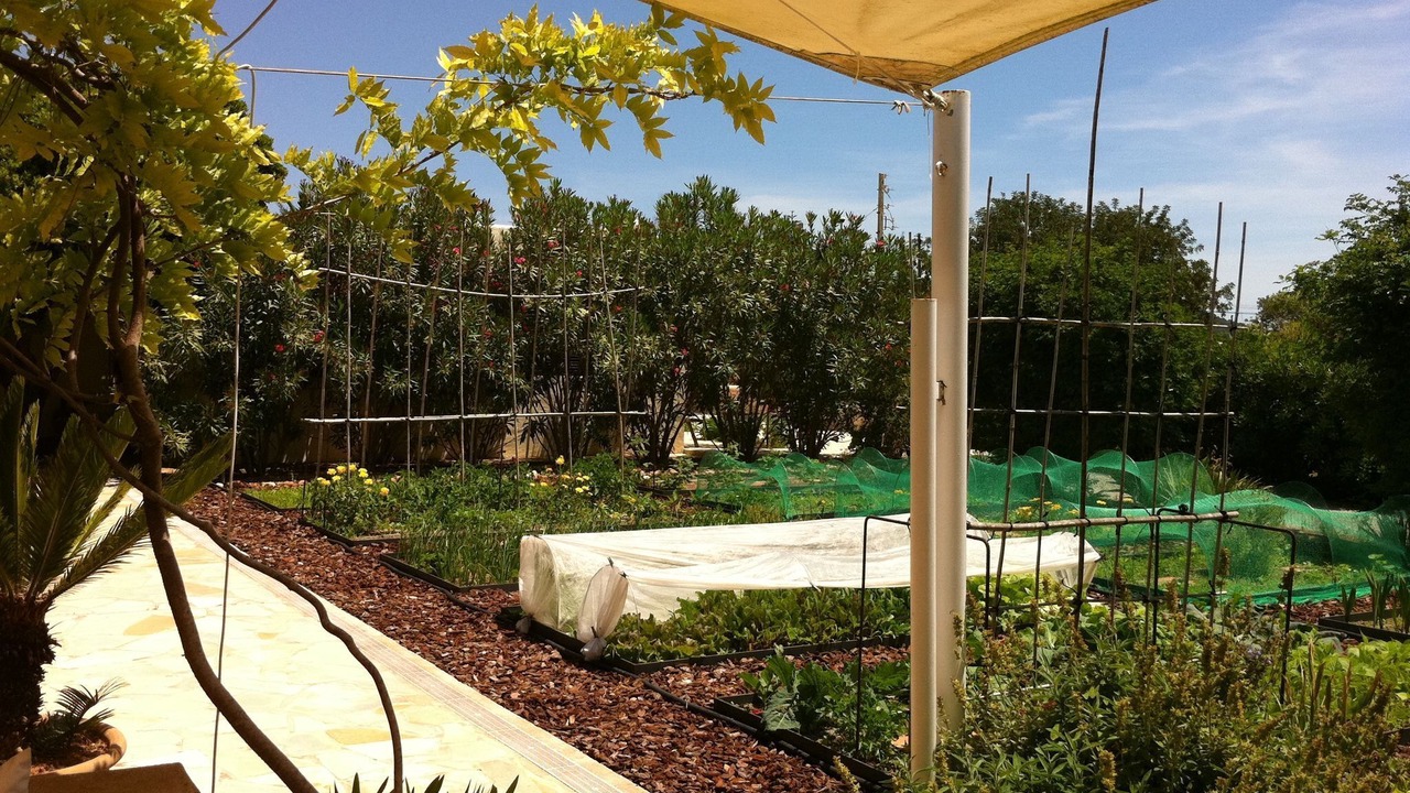 Photo of Outdoor in Sant Josep de sa Talaia
