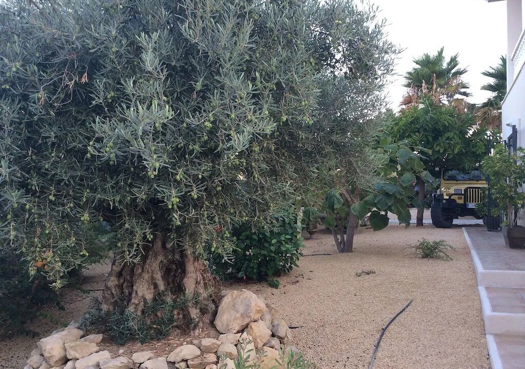 Photo of Outdoor in Mutxamel