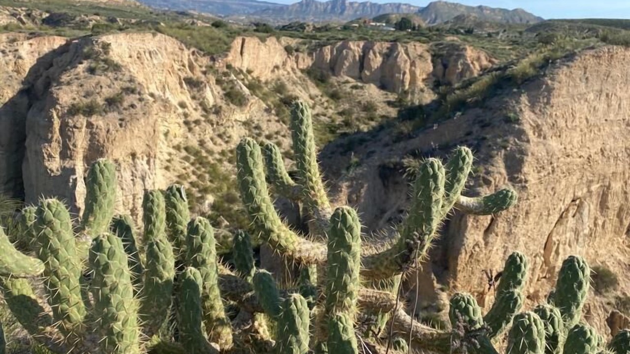 Photo of Outdoor in Mutxamel