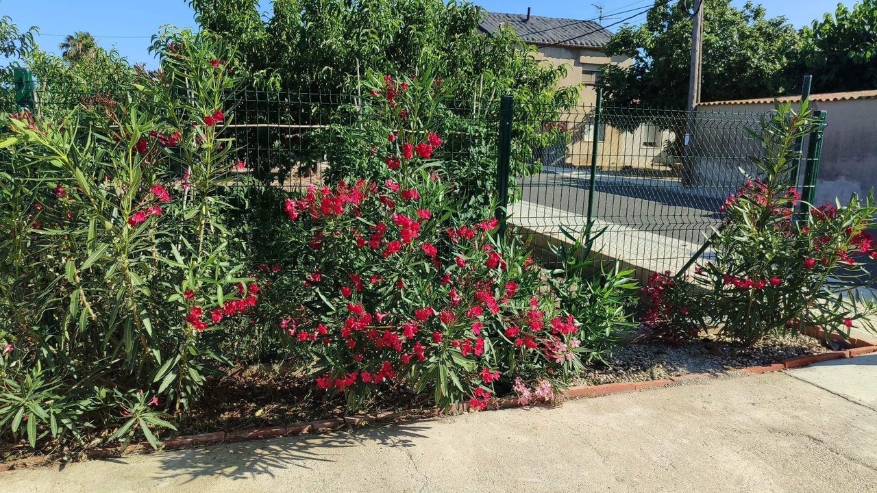 Photo of Outdoor in Deltebre