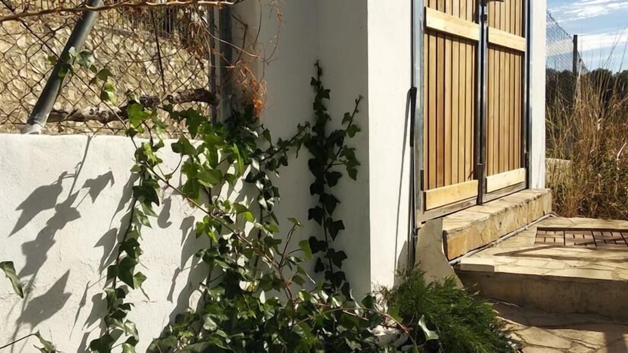 Photo of Outdoor in Gandia
