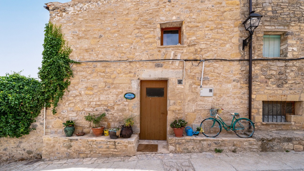 Photo of Outdoor in Fores