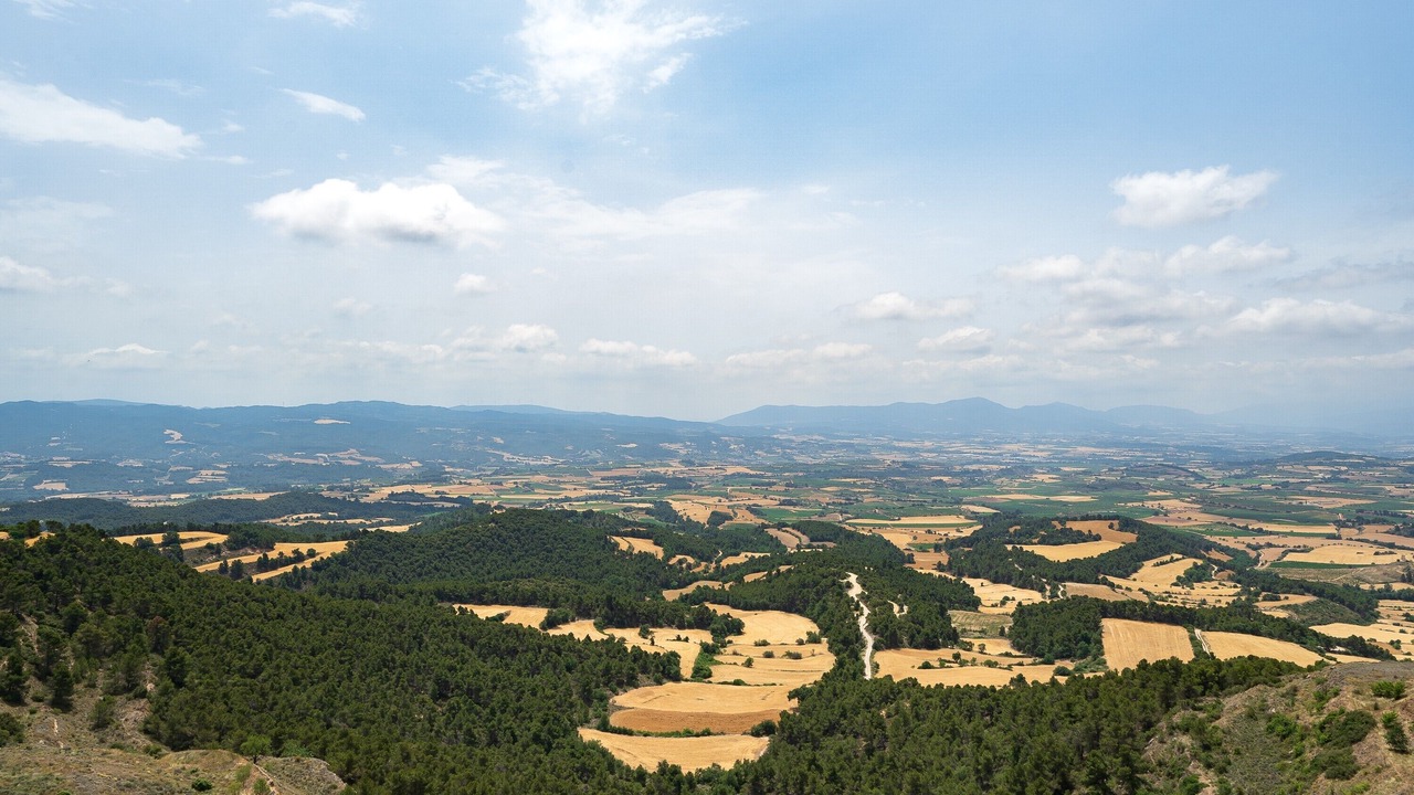 Photo of Others in Fores