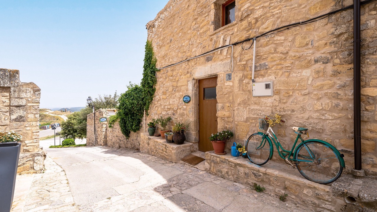 Photo of Outdoor in Fores