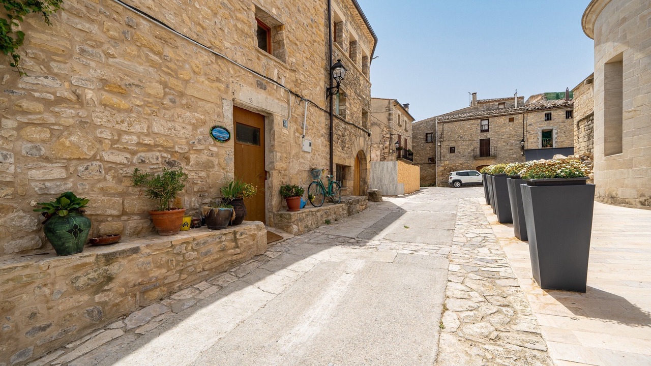 Photo of Outdoor in Fores