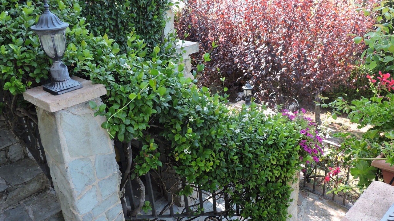 Photo of Outdoor in Belascoain