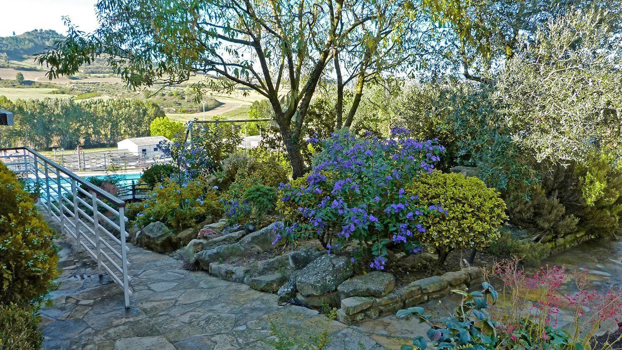 Photo of Outdoor in Obanos