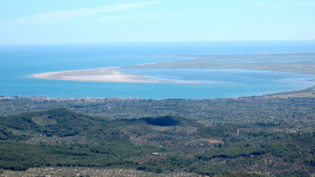 Photo of Others in L'Ampolla