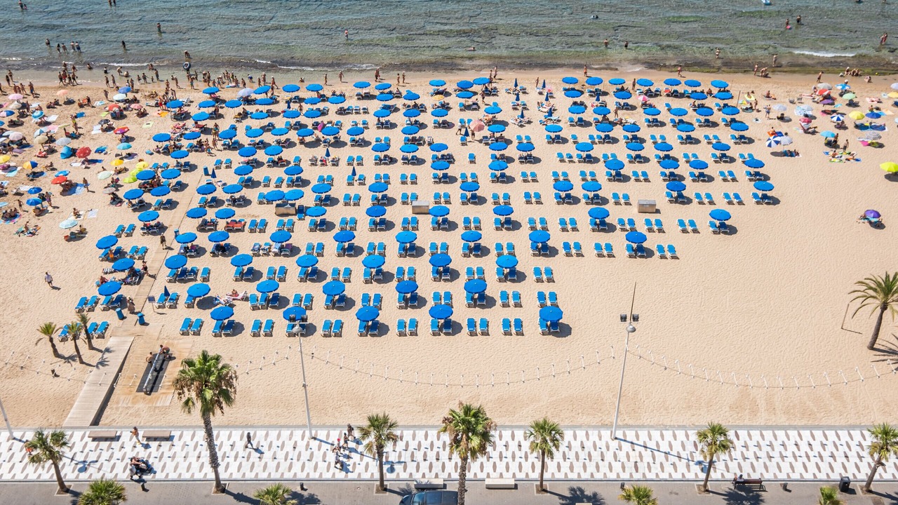 Photo of Others in Benidorm