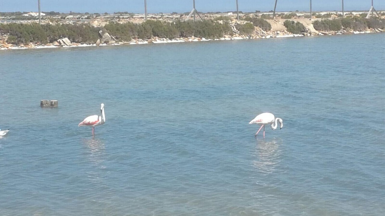 Photo of Others in Santiago de la Ribera