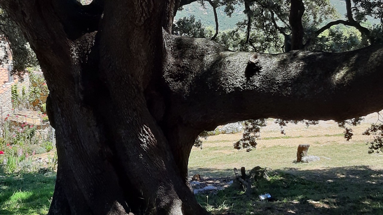 Photo of Outdoor in San Jorge
