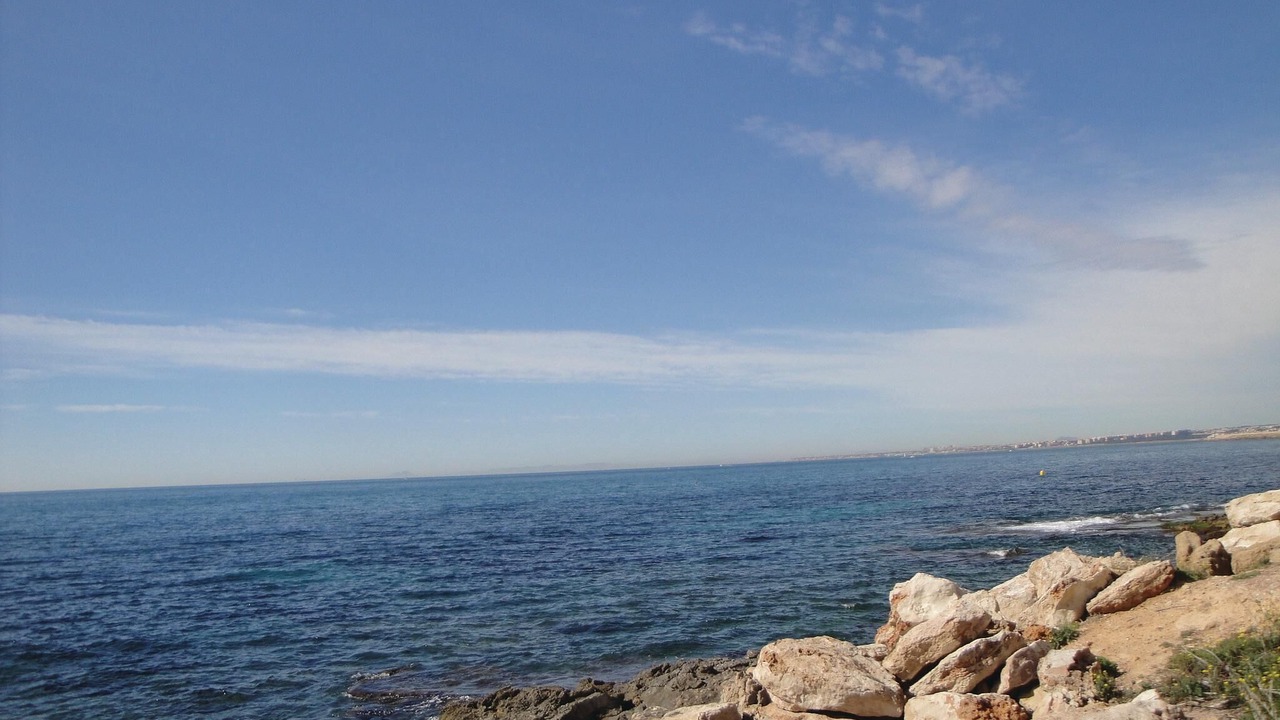 Photo of Others in Torrevieja